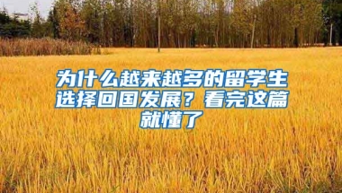 为什么越来越多的留学生选择回国发展？看完这篇就懂了