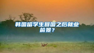 韩国留学生回国之后就业前景？