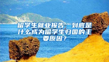 留学生就业报告：到底是什么成为留学生归国的主要原因？