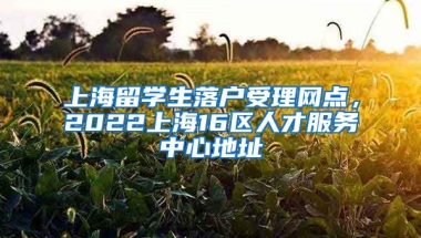 上海留学生落户受理网点，2022上海16区人才服务中心地址