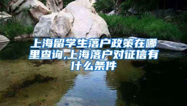 上海留学生落户政策在哪里查询,上海落户对征信有什么条件