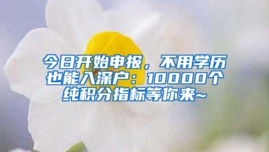 大鹏新区定向配租人才住房1128套，大专学历、初级资格即可申请