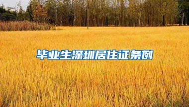 毕业生深圳居住证条例