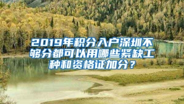 「深圳市」我每个月缴纳了多少社保