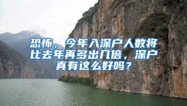 2022年深圳入户新政何时落地？积分入户窗口何时开放？