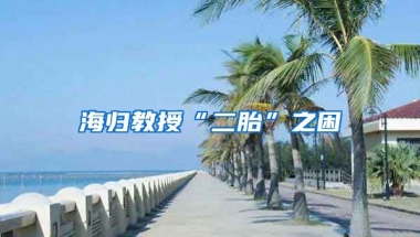 海归教授“二胎”之困