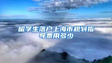 留学生落户上海市规划指导费用多少