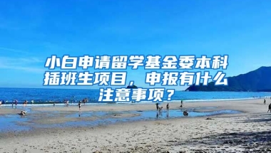 小白申请留学基金委本科插班生项目，申报有什么注意事项？