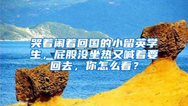 哭着闹着回国的小留英学生，屁股没坐热又喊着要回去，你怎么看？