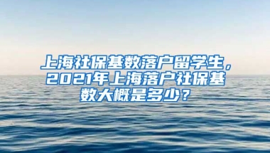 上海社保基数落户留学生，2021年上海落户社保基数大概是多少？