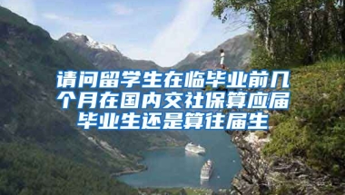 请问留学生在临毕业前几个月在国内交社保算应届毕业生还是算往届生