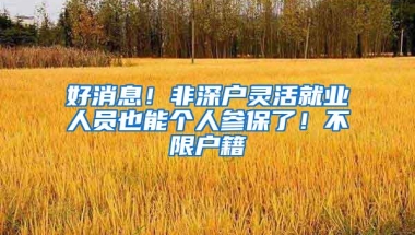 深圳2019学位申请一定要孩子身份证吗？