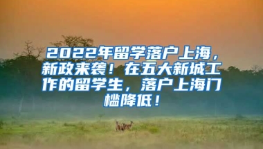 2022年留学落户上海，新政来袭！在五大新城工作的留学生，落户上海门槛降低！