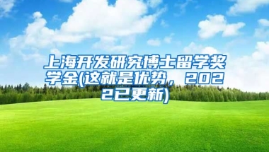 上海开发研究博士留学奖学金(这就是优势，2022已更新)