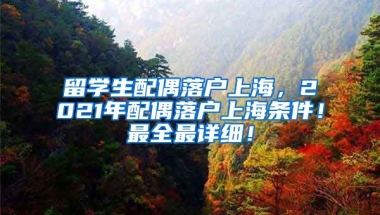 留学生配偶落户上海，2021年配偶落户上海条件！最全最详细！