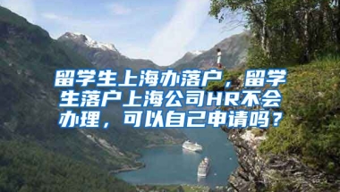 留学生上海办落户，留学生落户上海公司HR不会办理，可以自己申请吗？