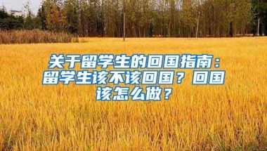 关于留学生的回国指南：留学生该不该回国？回国该怎么做？