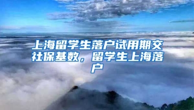 上海留学生落户试用期交社保基数，留学生上海落户