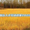 烟台人才引进政策2022