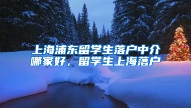 上海浦东留学生落户中介哪家好，留学生上海落户