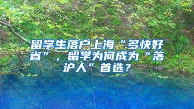 留学生落户上海“多快好省”，留学为何成为“落沪人”首选？