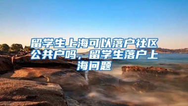 留学生上海可以落户社区公共户吗，留学生落户上海问题