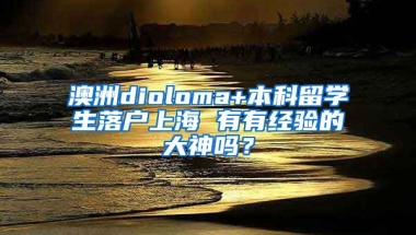 澳洲dioloma+本科留学生落户上海 有有经验的大神吗？