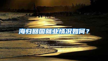 海归回国就业情况如何？