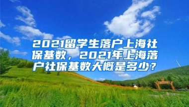 2021留学生落户上海社保基数，2021年上海落户社保基数大概是多少？