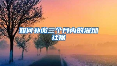 留学人员来沪办户口 明年起可在线全预约