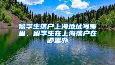 留学生落户上海地址写哪里，留学生在上海落户在哪里办