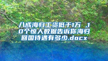 八成海归工资低于1万 ,10个惊人数据告诉你海归回国待遇有多少.docx