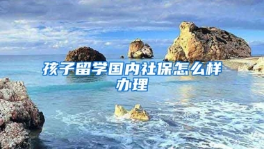 孩子留学国内社保怎么样办理