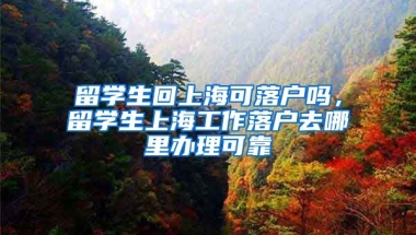 留学生回上海可落户吗，留学生上海工作落户去哪里办理可靠