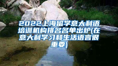 2022上海留学意大利语培训机构排名名单出炉(在意大利学习和生活语言很重要)