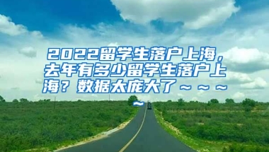 2022留学生落户上海，去年有多少留学生落户上海？数据太庞大了～～～～