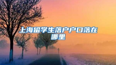 上海留学生落户户口落在哪里