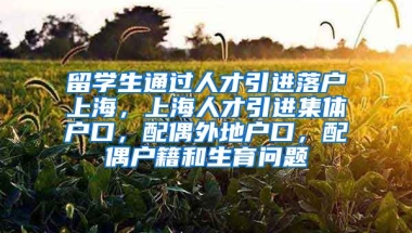 留学生通过人才引进落户上海，上海人才引进集体户口，配偶外地户口，配偶户籍和生育问题