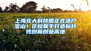 深圳自考本科难度如何？