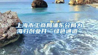 上海市工商局浦东分局为海归创业开“绿色通道”