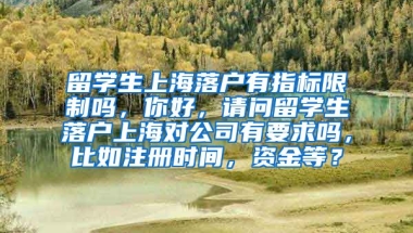 留学生上海落户有指标限制吗，你好，请问留学生落户上海对公司有要求吗，比如注册时间，资金等？