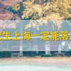 2021年7月申请深圳市新引进人才租房和生活补贴（宝安区）-办理进度记录