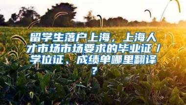 留学生落户上海，上海人才市场市场要求的毕业证／学位证、成绩单哪里翻译？