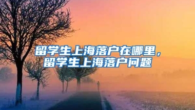 留学生上海落户在哪里，留学生上海落户问题