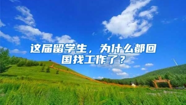 这届留学生，为什么都回国找工作了？