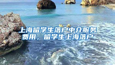 上海留学生落户中介服务费用，留学生上海落户