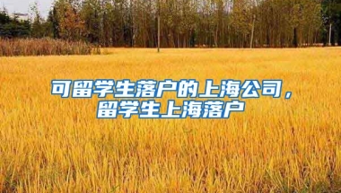 可留学生落户的上海公司，留学生上海落户