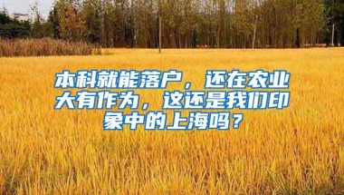 深圳社保个人承担多少费用