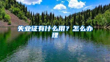 一只“小龟龟”的深圳落户之旅