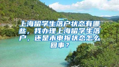 上海留学生落户状态有哪些，我办理上海留学生落户，还是未申报状态怎么回事？